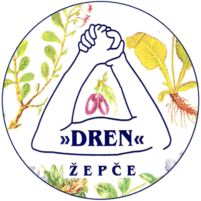 dren logo